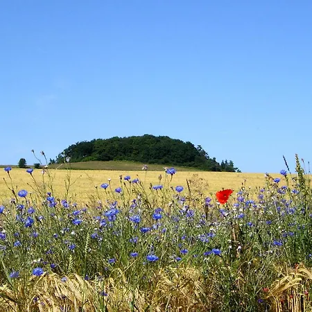 Haus Windland 24 Mit Eingezaeuntem Garten - Ideal Fuer Den Hundeurlaub Appartement